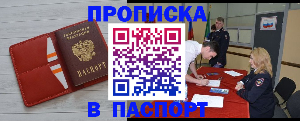 прописка гарантия в Вязьме